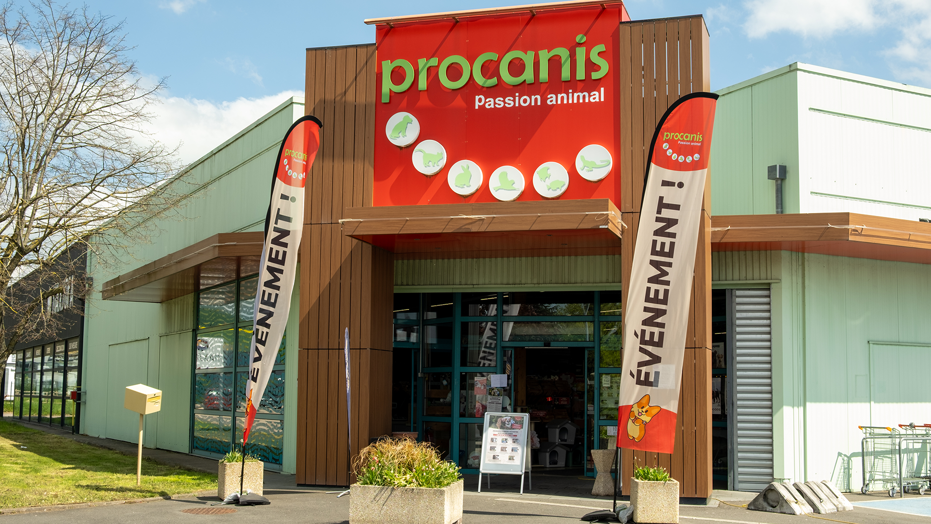 Réalisation pour Procanis